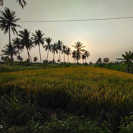 Srinivasa Homestay Hampi Dış mekan fotoğraf