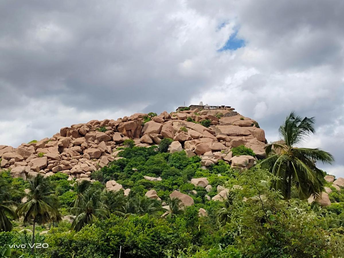 Srinivasa Homestay Hampi Dış mekan fotoğraf