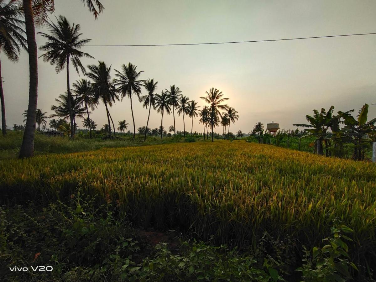 Srinivasa Homestay Hampi Dış mekan fotoğraf